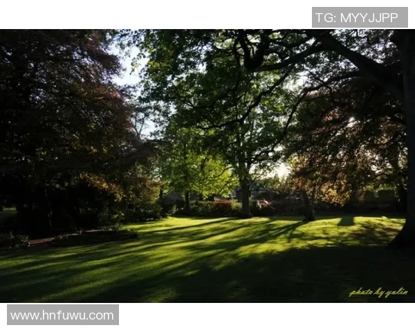 探索摩尔特里的魅力与历史深度揭示这座城市的独特风情与文化底蕴