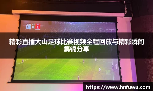 NG体育网址
