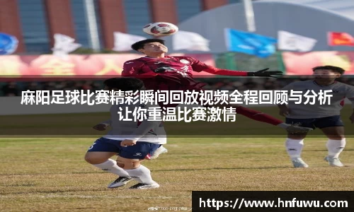 NG体育网址