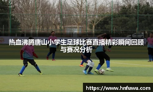 NG体育官网