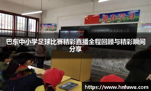 NG体育下载