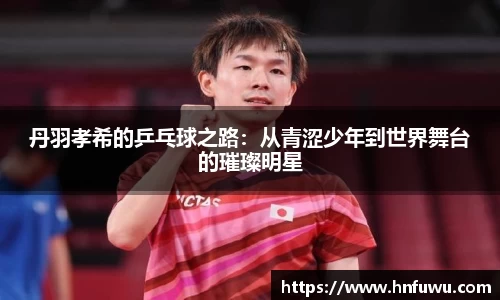 NG体育网址