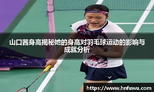 NG体育下载
