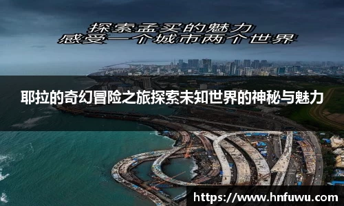 NG体育下载