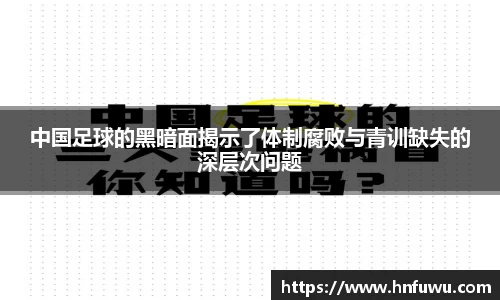 NG体育官网